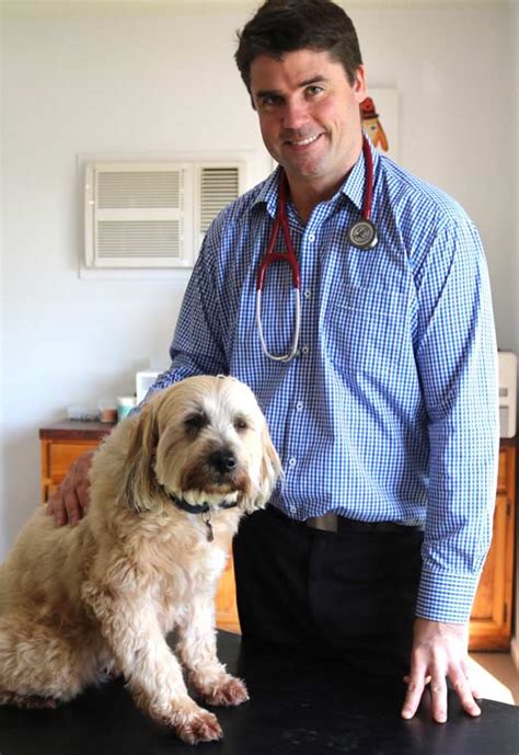 vet in berwick|The Berwick Village Vet .